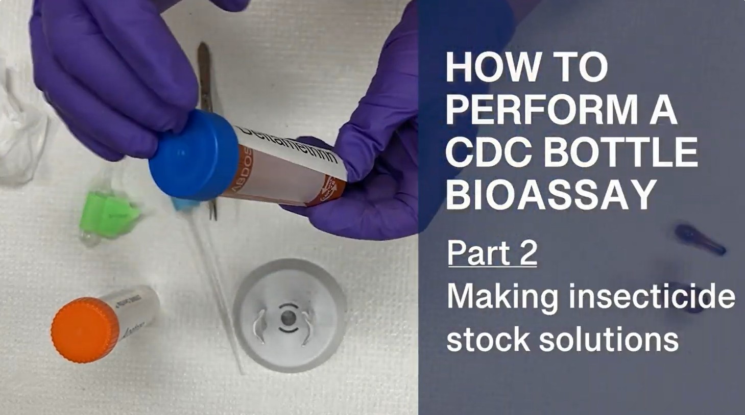  Part 2: Mixing insecticide stock solutions 