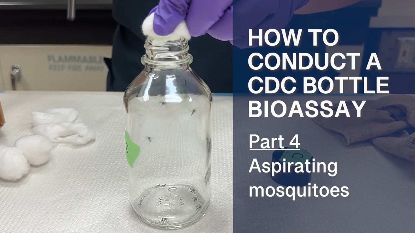  Part 4: Aspirating mosquitoes 
